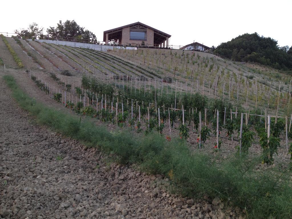 Agriturismo Alba Del Borgo Fidenza Eksteriør bilde