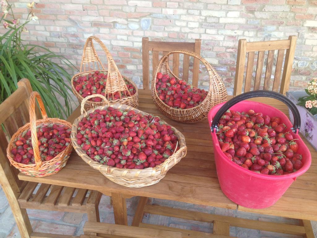 Agriturismo Alba Del Borgo Fidenza Eksteriør bilde